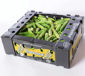 Okro – Box